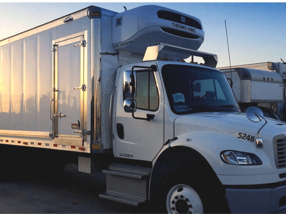 Cargo Truck Pilotruck