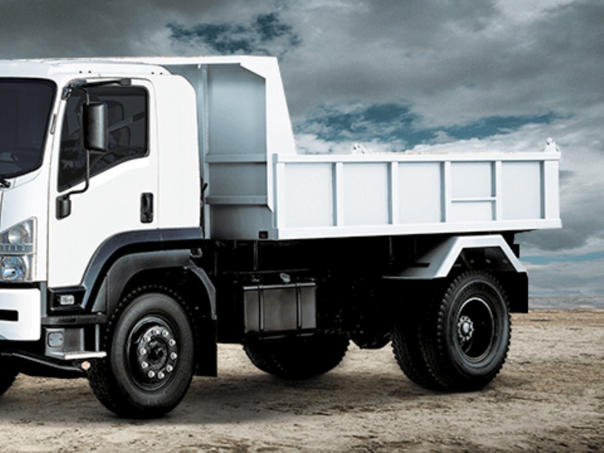 Cargo Truck Pilotruck